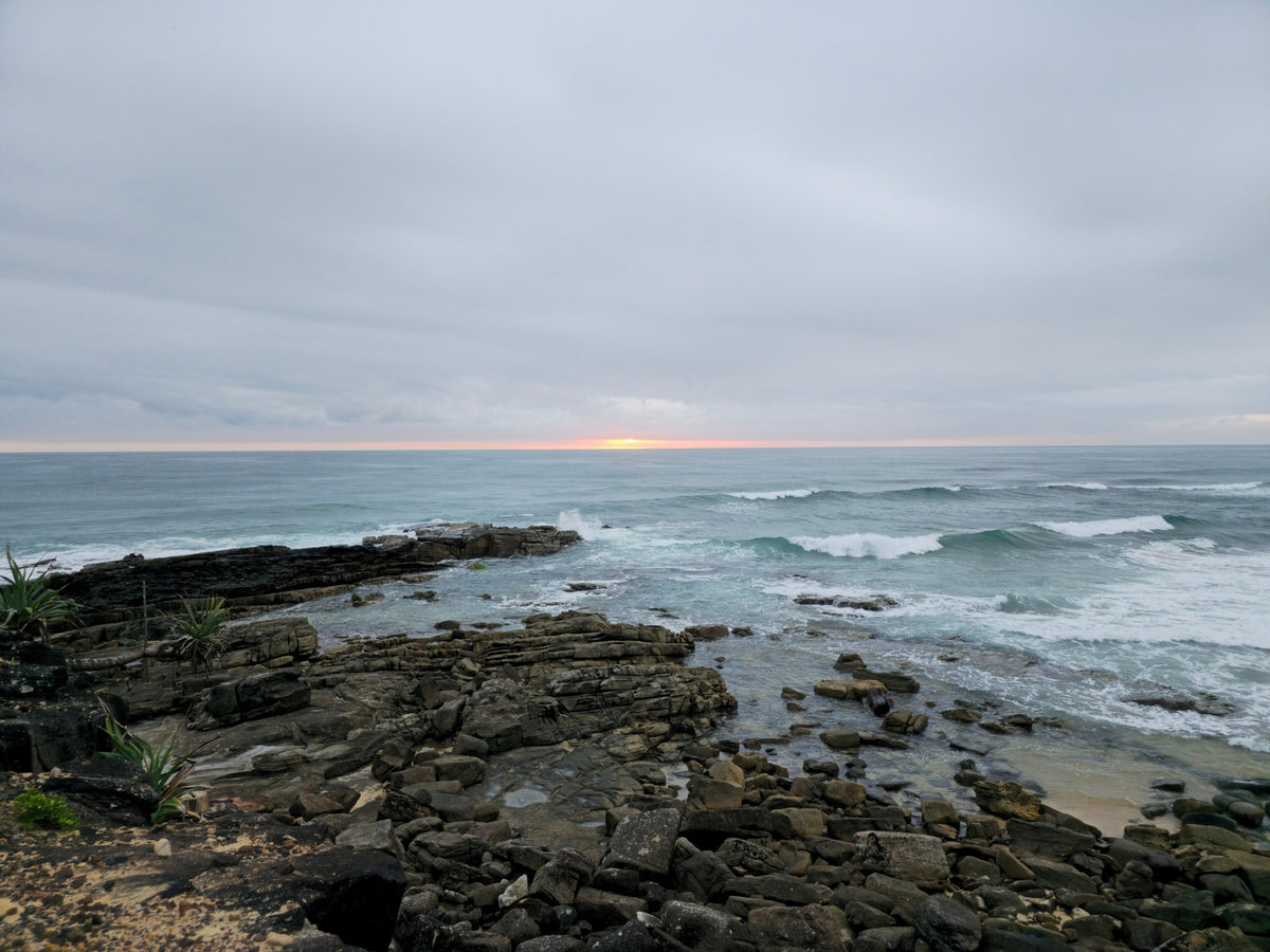 Point Arkwright, Sunshine Coast QLD — Day 405