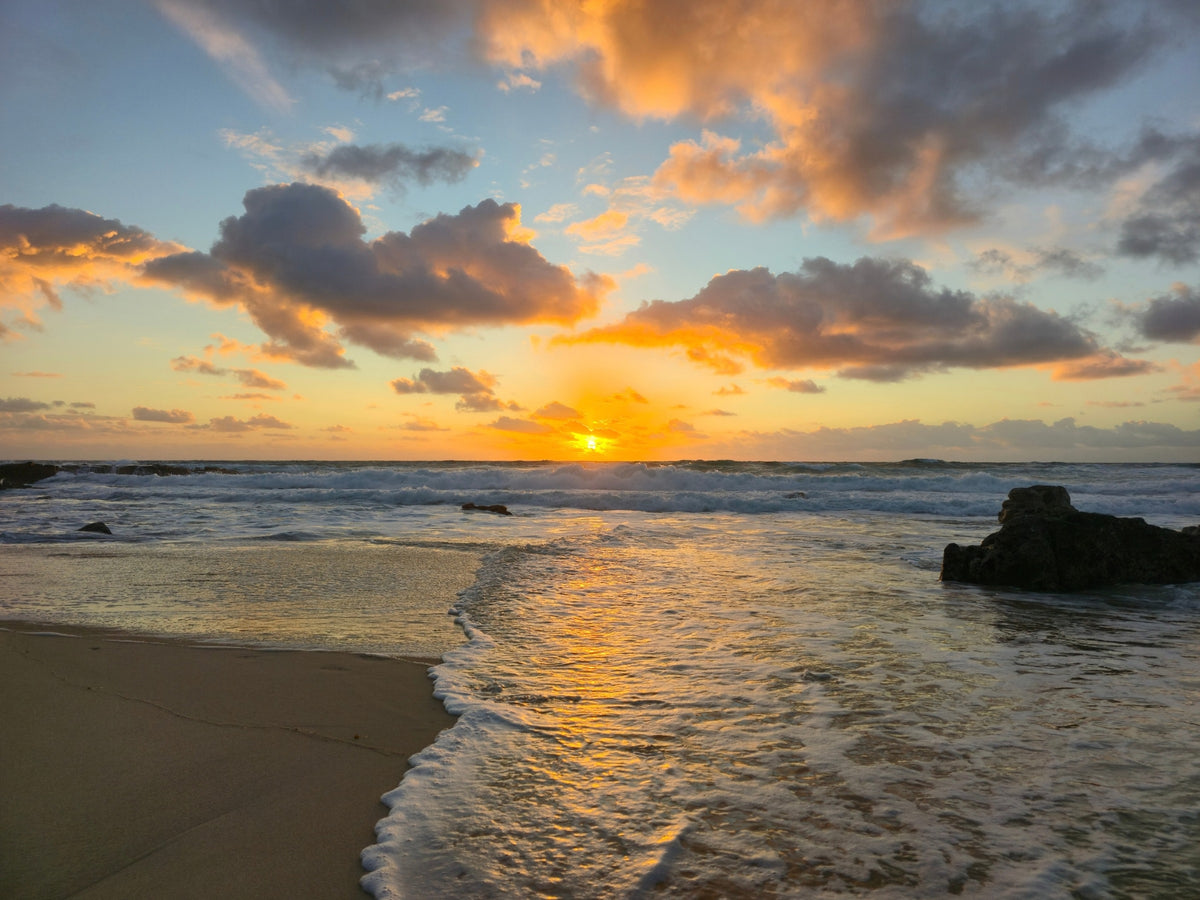 Point Arkwright, Sunshine Coast QLD — Day 403
